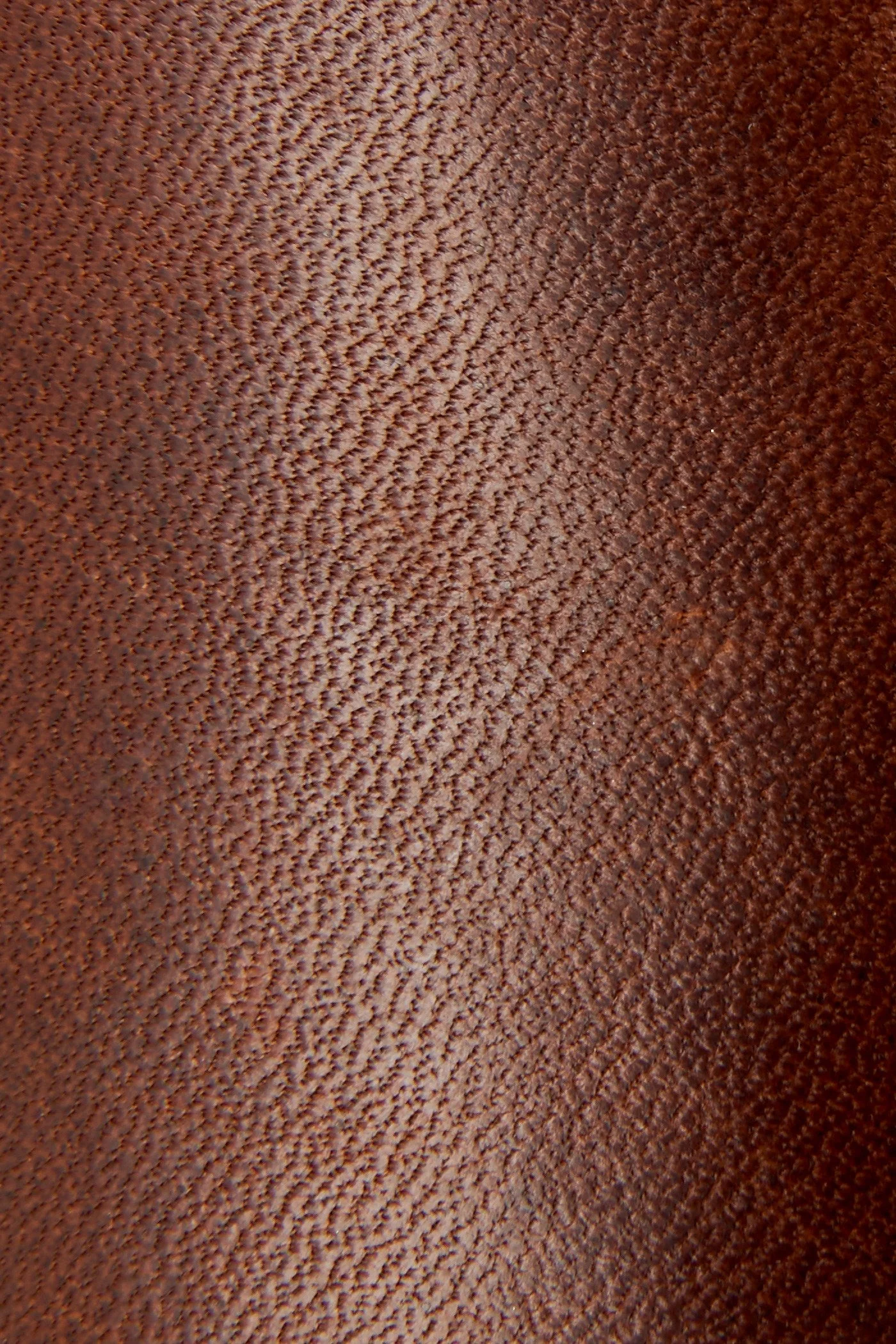 Billy Inside Zip Bootie - Frye Found - Image 5