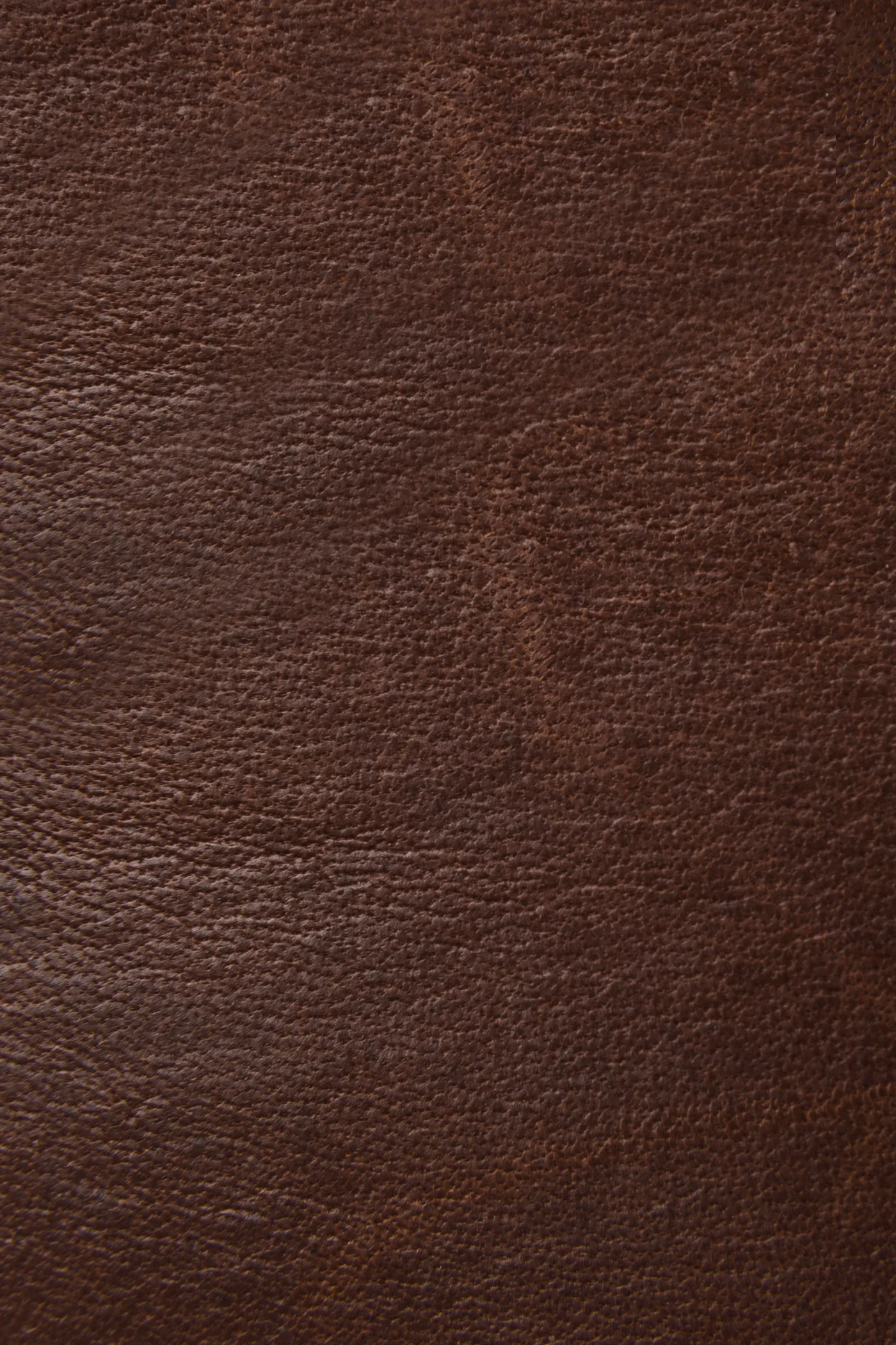 Walker Low Lace - Frye Found - Image 5